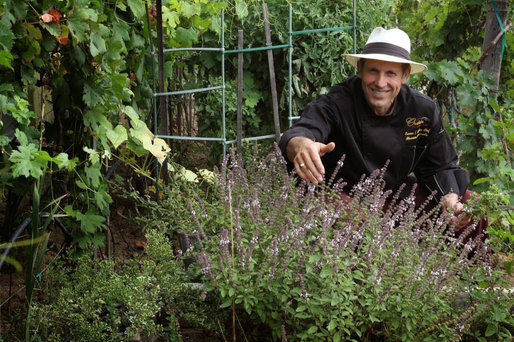 Onotria Wine Country Cuisine | restaurant | 2915 Red Hill Ave a108, Costa Mesa, CA 92626, USA | 9497356761 OR +1 949-735-6761