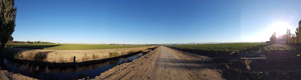 Tracy Oasis Marina Resort | restaurant | 12450 Grimes Rd, Tracy, CA 95304, USA | 2098353182 OR +1 209-835-3182