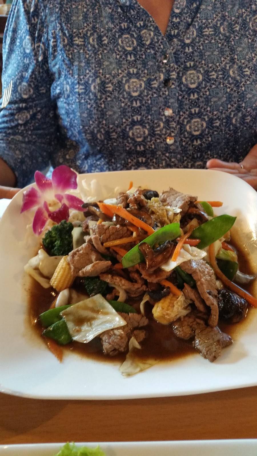 Thai Hut Restaurant | restaurant | 2602 N Loop 1604 E, San Antonio, TX 78248, USA | 2109717299 OR +1 210-971-7299