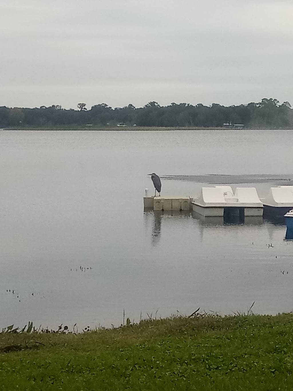 Hallies Landing | restaurant | 831 Huntington Rd, Crescent City, FL 32112, USA | 3865598125 OR +1 386-559-8125