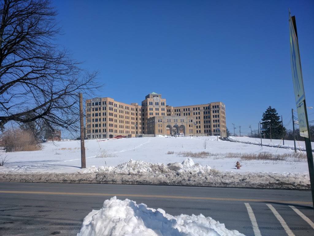 Ellies Kitchen | restaurant | 579 Belleville Ave, Belleville, NJ 07109, USA | 9734509900 OR +1 973-450-9900