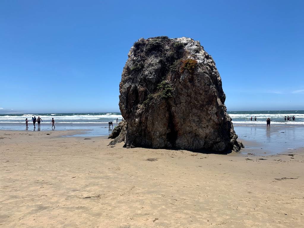 Lahainas | restaurant | 3975 S Higuera St #102, San Luis Obispo, CA 93401, USA | 8055445540 OR +1 805-544-5540