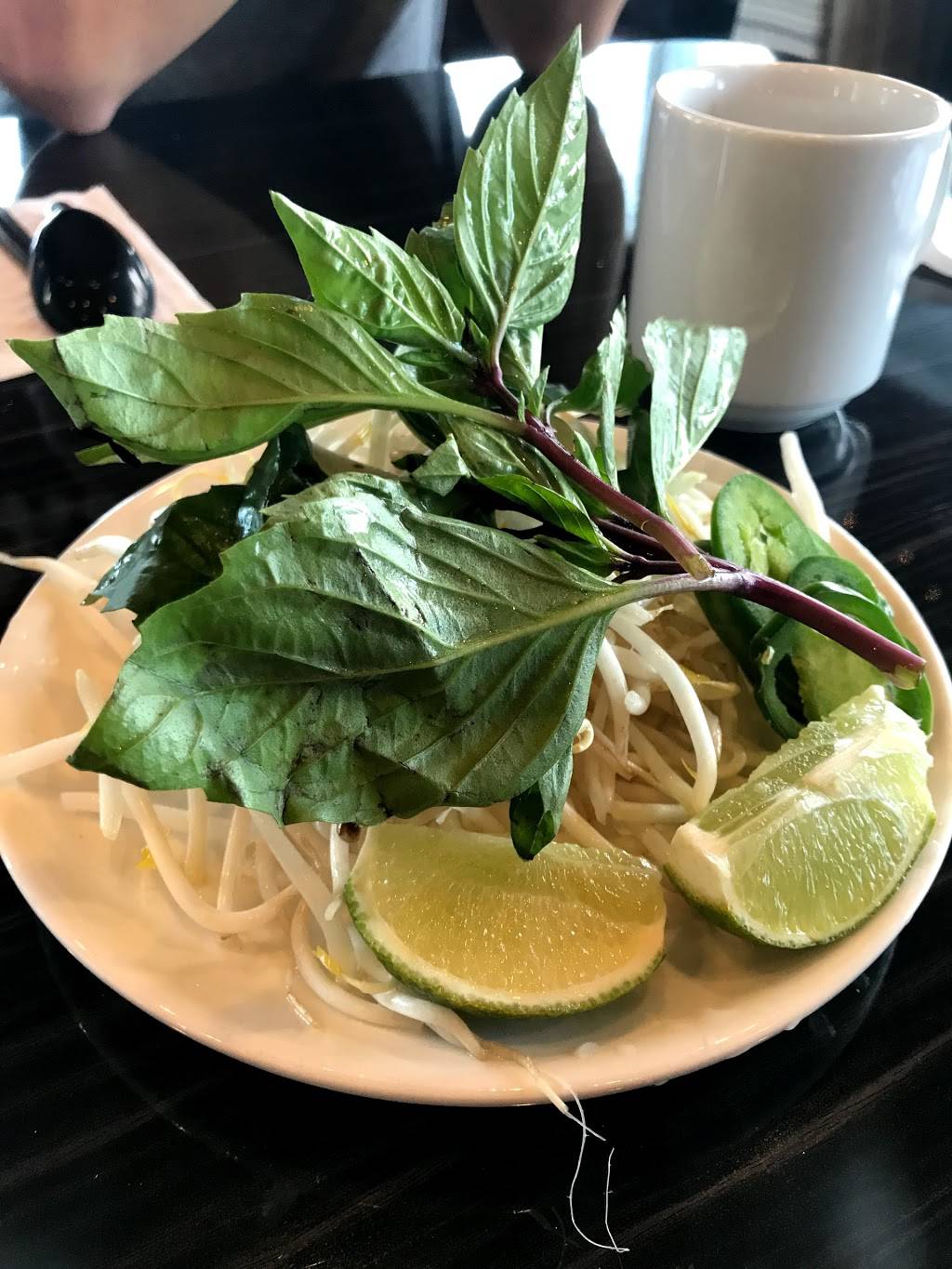 House of Pho | restaurant | 1852 Camden Ave, San Jose, CA 95124, USA | 4084408531 OR +1 408-440-8531