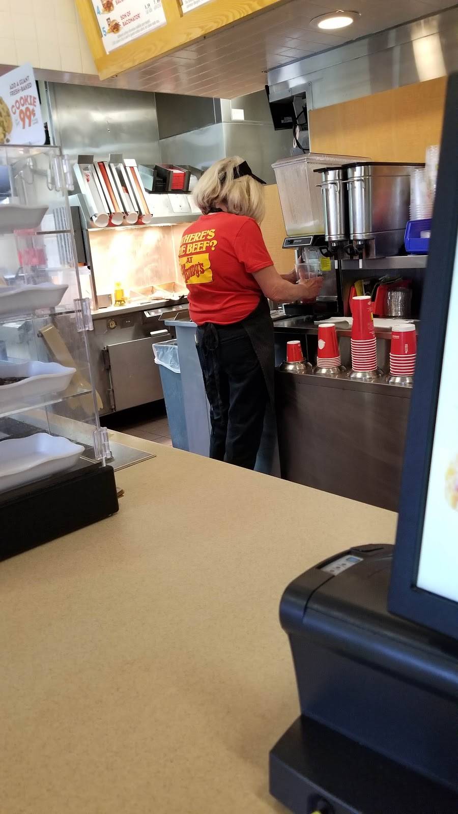 Wendys | restaurant | 1230 E M36, Pinckney, MI 48169, USA | 7348783197 OR +1 734-878-3197