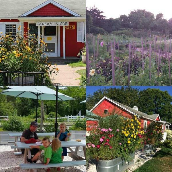 Katama General Store | meal takeaway | 170 Katama Rd, Edgartown, MA 02539, USA | 5086275071 OR +1 508-627-5071