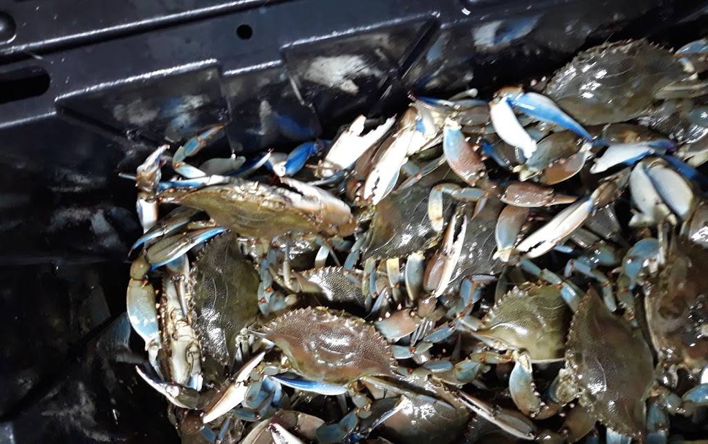 Seafood Market Sarasota | restaurant | 1038 N Washington Blvd, Sarasota, FL 34236, USA | 9415367153 OR +1 941-536-7153