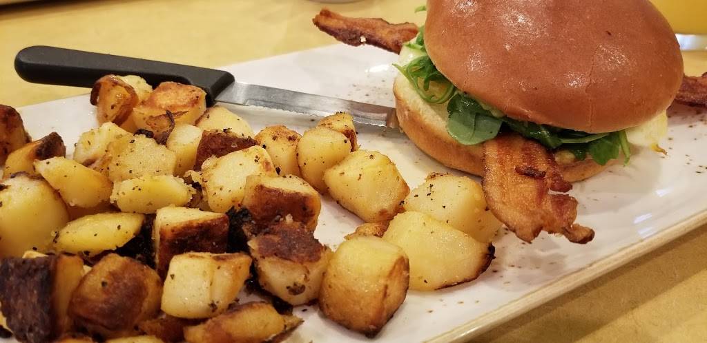 First Watch - Countryside Village Square | restaurant | 2569 Countryside Blvd, Clearwater, FL 33761, USA | 7277128769 OR +1 727-712-8769