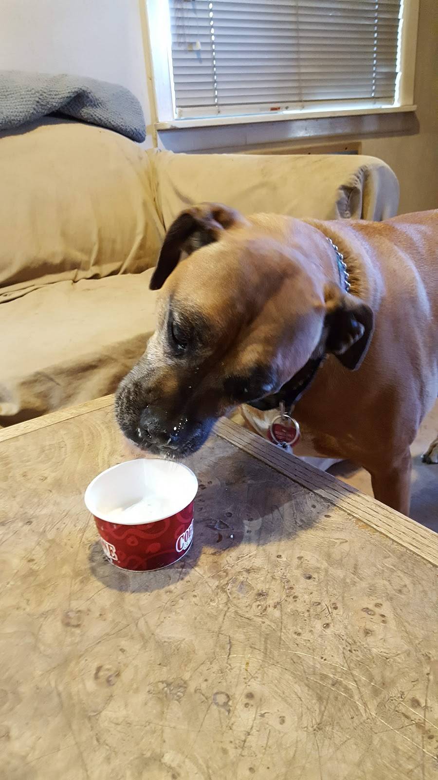 Cold Stone Creamery | bakery | 17362 Hawthorne Blvd, Torrance, CA 90504, USA | 3102141123 OR +1 310-214-1123