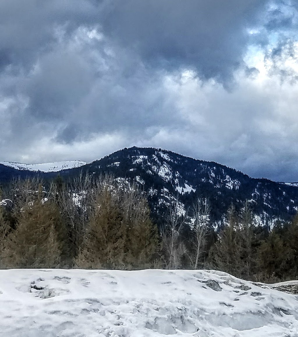 Starbucks | cafe | 477100 US-95 Suite E, Ponderay, ID 83852, USA | 2082635768 OR +1 208-263-5768