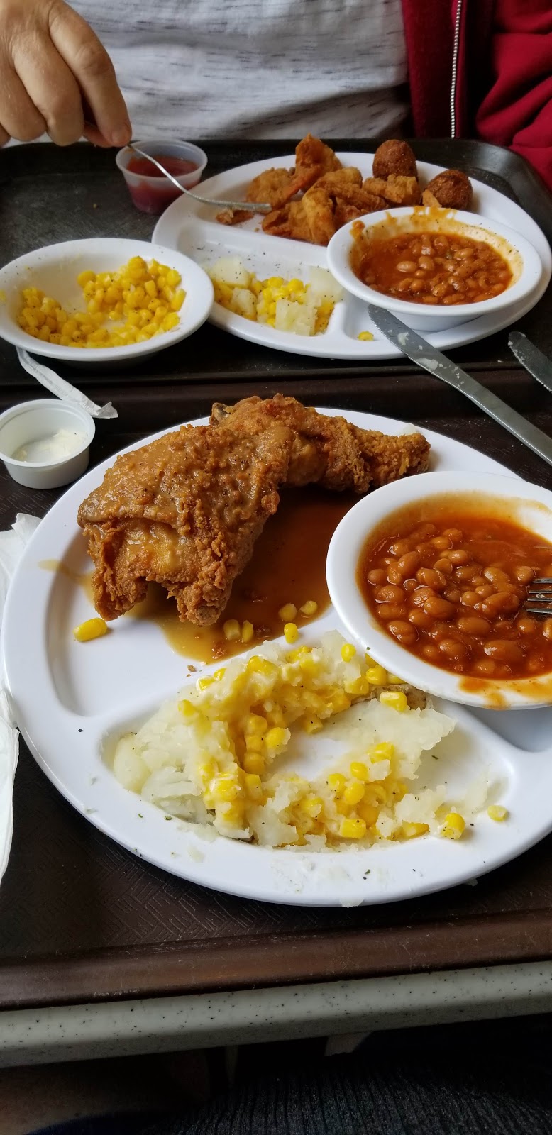 Chick & Sea Foods | restaurant | 1127 N McKenzie St, Foley, AL 36535, USA | 2519438443 OR +1 251-943-8443