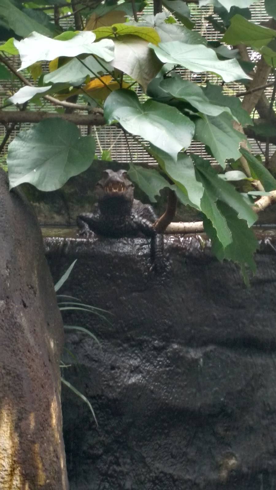 Fiesta Cafe | cafe | 12400 SW 152nd St, Miami, FL 33177, USA | 3052510400 OR +1 305-251-0400