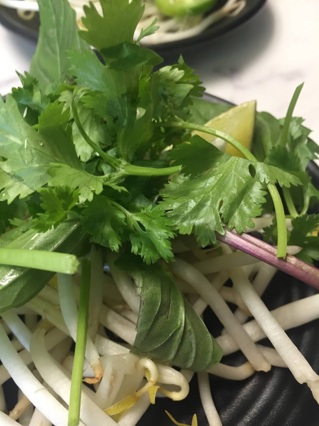 Made Pho You | restaurant | 1245 Park St, Alameda, CA 94501, USA | 5102638133 OR +1 510-263-8133