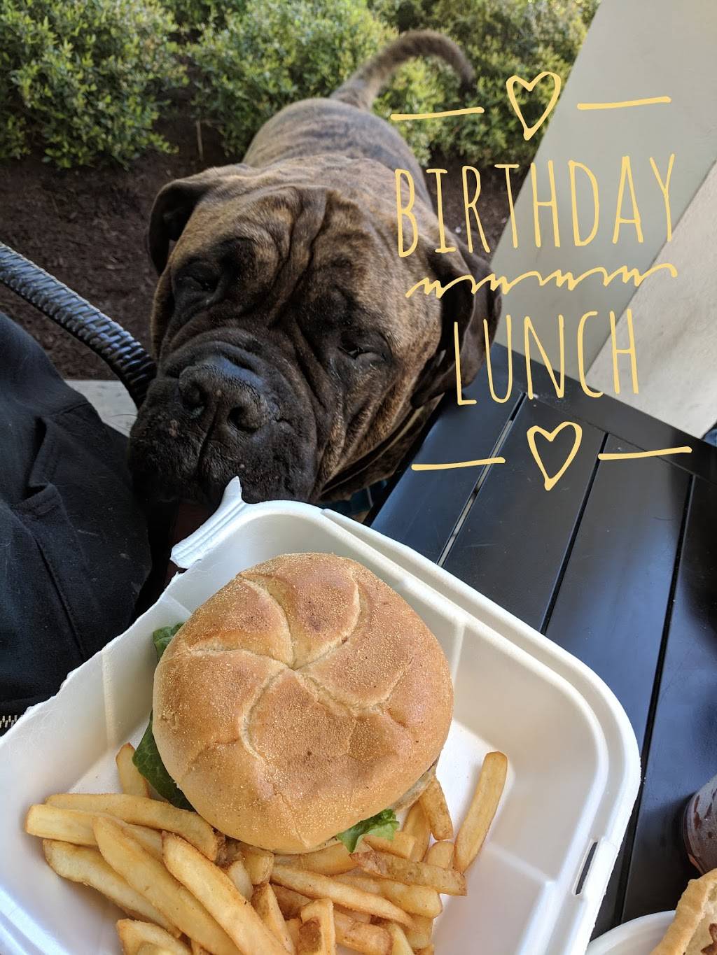 Sunrise Grille | restaurant | 21 Main St, Jekyll Island, GA 31527, USA | 9123192376 OR +1 912-319-2376