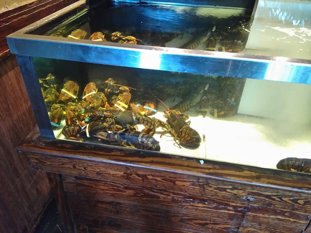 Red Lobster | restaurant | 3815 S Lamar Blvd, Austin, TX 78704, USA | 5124471824 OR +1 512-447-1824