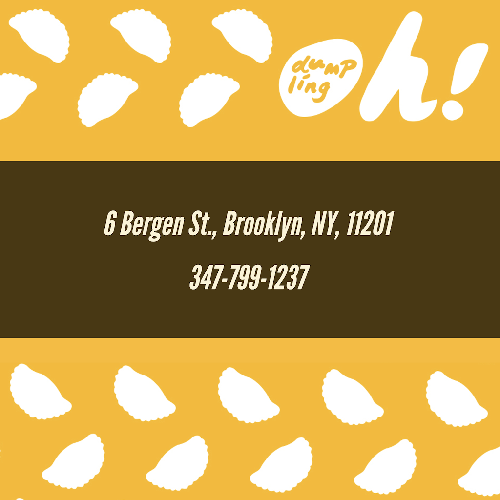 Oh Dumplings | restaurant | 6 Bergen St, Brooklyn, NY 11201, USA | 3477991237 OR +1 347-799-1237