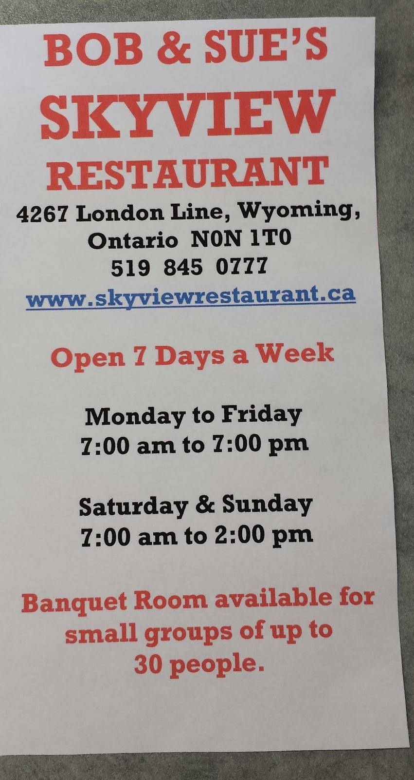 Skyview Restaurant | restaurant | 4267 London Line, Wyoming, ON N0N 1T0, Canada | 5198450777 OR +1 519-845-0777