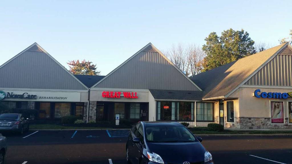 Great Wall | restaurant | 807 N Easton Rd #107, Doylestown, PA 18902, USA | 2154891122 OR +1 215-489-1122