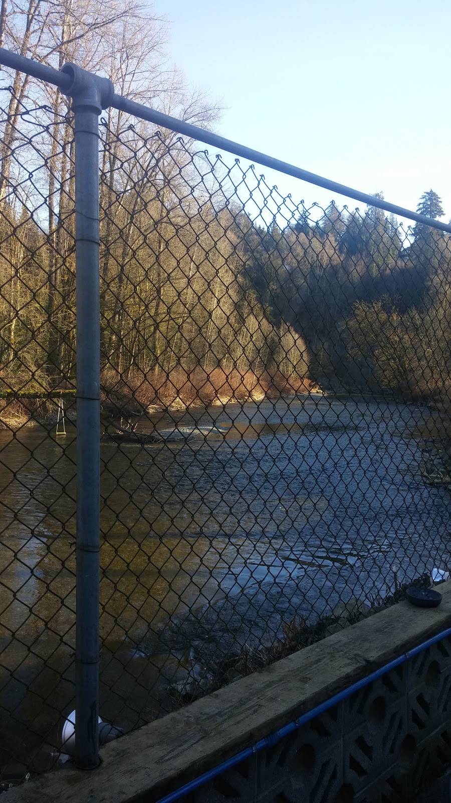 Docs Riverside Taphouse | restaurant | 1423 S Machias Rd, Snohomish, WA 98290, USA | 4253747572 OR +1 425-374-7572