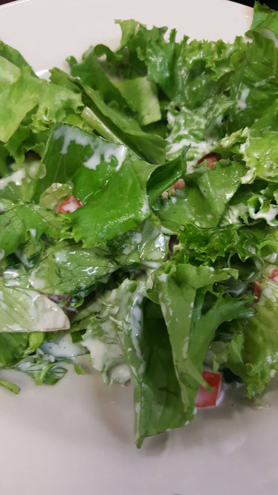 Rams Family Restaurant | restaurant | 13840 Little Rd, Hudson, FL 34667, USA | 7278696661 OR +1 727-869-6661