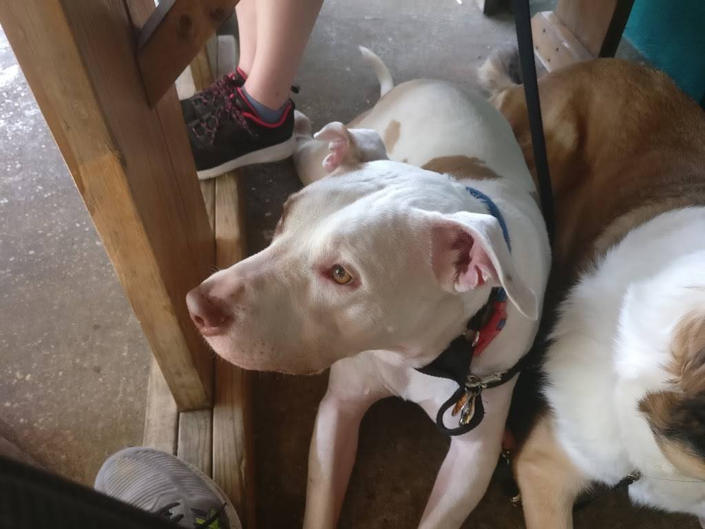 Baby Acapulco | restaurant | 1628 Barton Springs Rd, Austin, TX 78704, USA | 5124748774 OR +1 512-474-8774