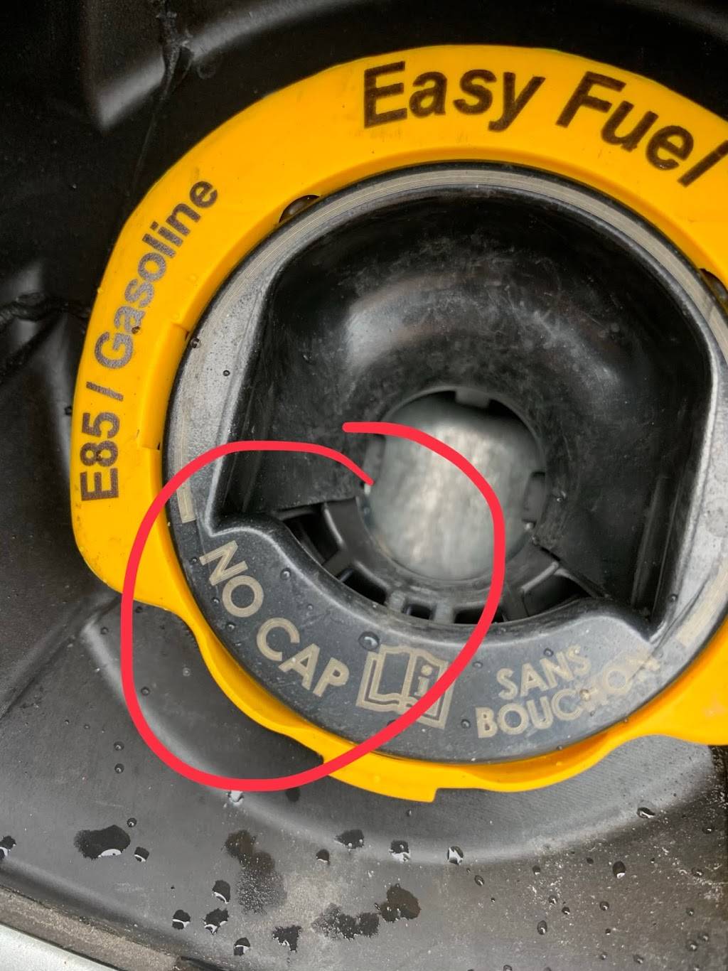 Texas Bar-B-Q Joint shack | restaurant | 3160 W Ridge Rd, Rochester, NY 14626, USA | 5852276474 OR +1 585-227-6474