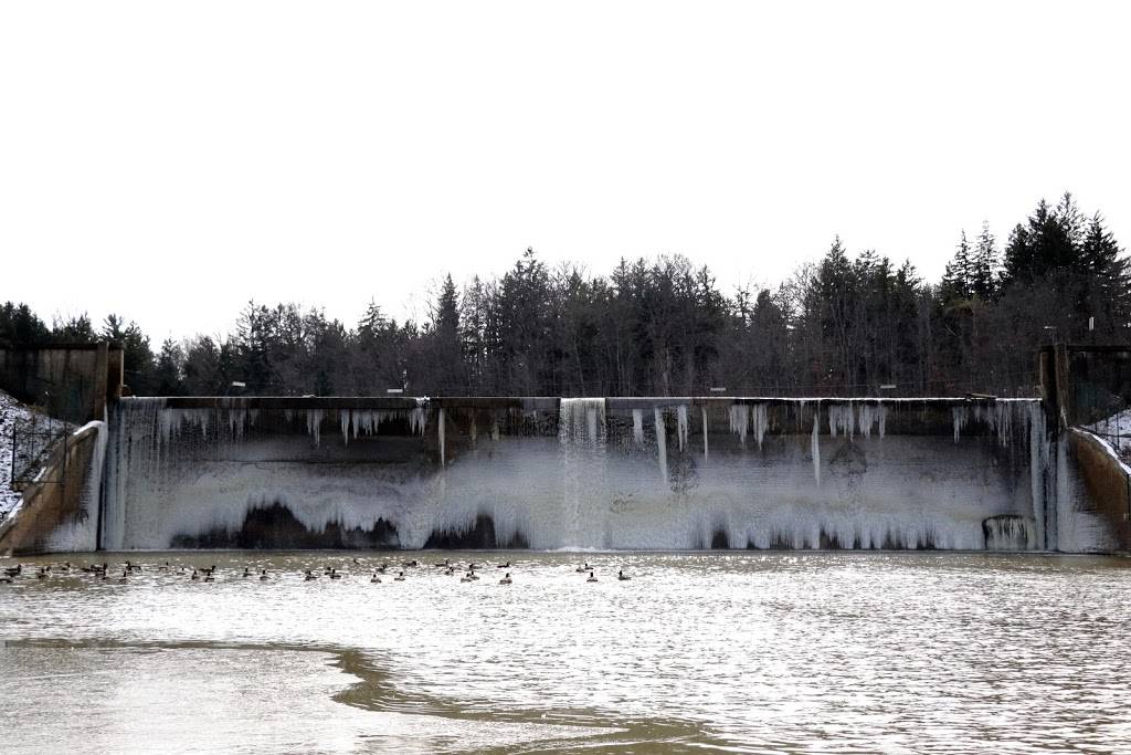 Buzzards Landing At HINCKLEY LAKE | restaurant | 44233 Township, Hinckley, OH 44233, USA | 3302782160 OR +1 330-278-2160