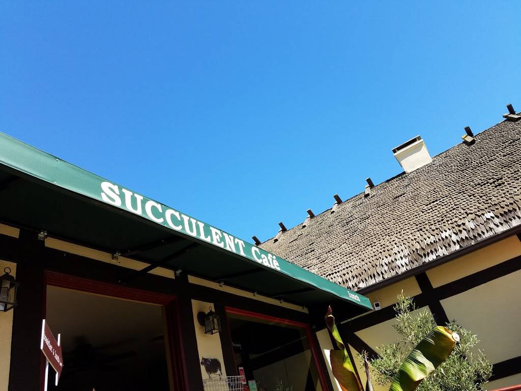 Succulent Cafe | restaurant | 1557 Mission Dr, Solvang, CA 93463, USA | 8056919444 OR +1 805-691-9444