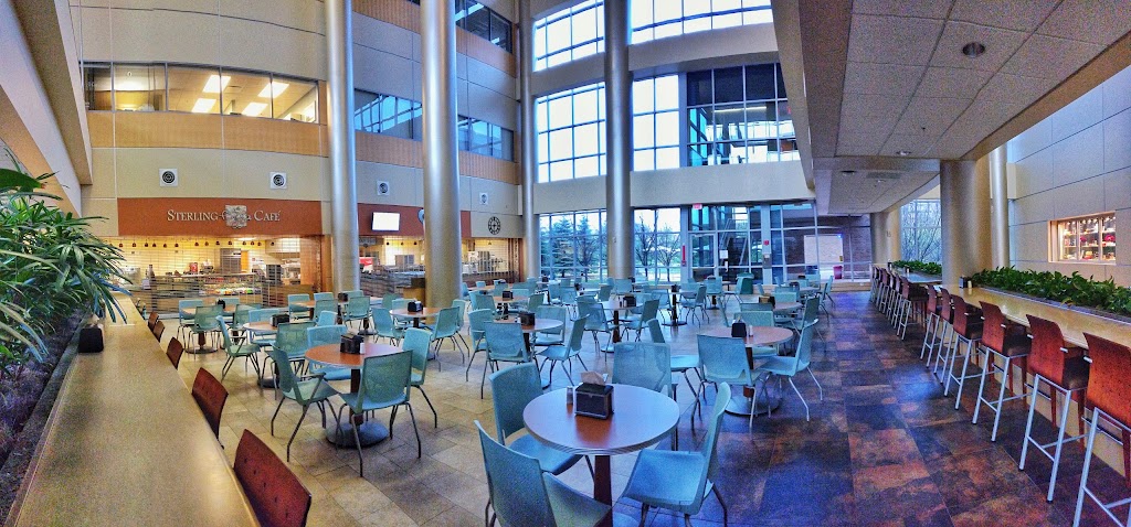 Sterling Pizza Cafe | cafe | Sterling Heights, MI 48314, USA | 2489649266 OR +1 248-964-9266