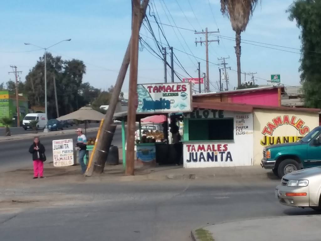 MENUDERIA "ALICIAS " | restaurant | Lucio Blanco, 22706 Rosarito, B.C., Mexico | 016642411256 OR +52 664 241 1256