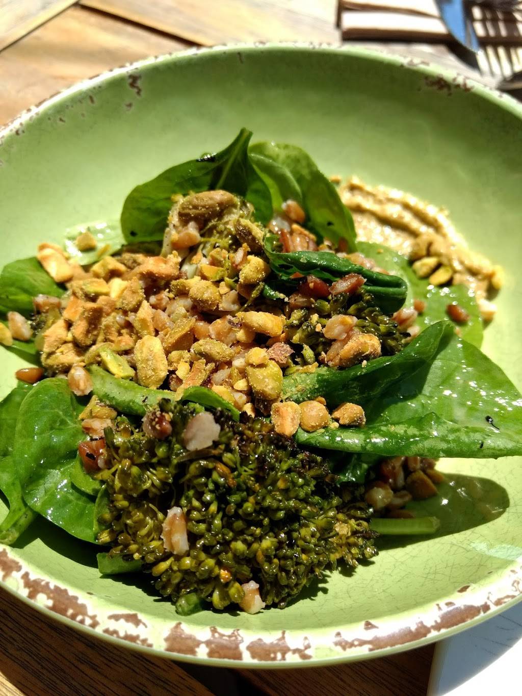 Craigie On Main | restaurant | 853 Main St, Cambridge, MA 02139, USA | 6174975511 OR +1 617-497-5511