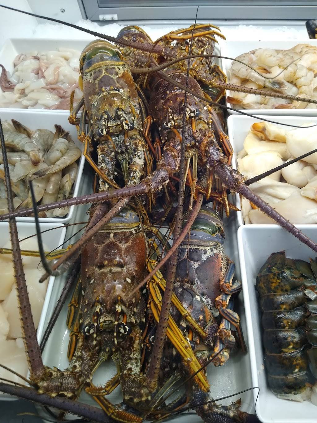 The Fish House Miami | restaurant | 10000 SW 56th St, Miami, FL 33165, USA | 3055958453 OR +1 305-595-8453