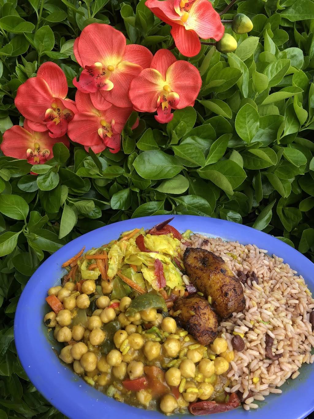 Caribbean Cove DC | restaurant | 9348 Cherry Hill Rd, College Park, MD 20740, USA | 2405424965 OR +1 240-542-4965