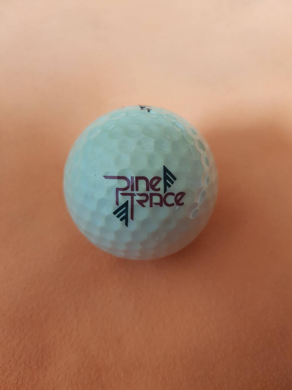 Pine Trace Golf Club | restaurant | 3600 Pine Trace Blvd, Rochester Hills, MI 48309, USA | 2488527100 OR +1 248-852-7100