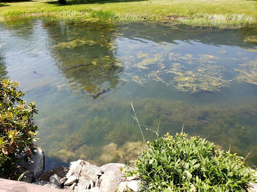 Feist Creek Restaurant | restaurant | 2673 Moyie River Rd, Bonners Ferry, ID 83805, USA | 2082678649 OR +1 208-267-8649