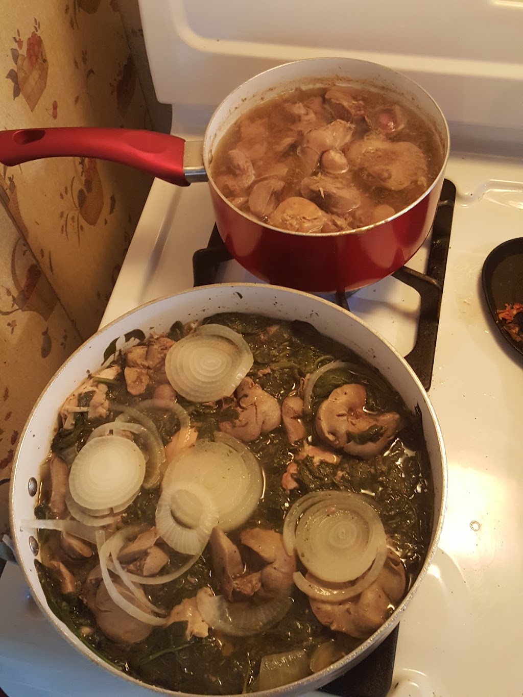 B Hunting Services | restaurant | 876 Co Rd 400, Uvalde, TX 78801, USA | 8302793588 OR +1 830-279-3588