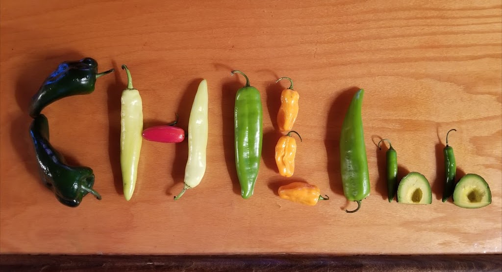 CHILInn | restaurant | 5152 S Packard Ave, Cudahy, WI 53110, USA | 4144813664 OR +1 414-481-3664