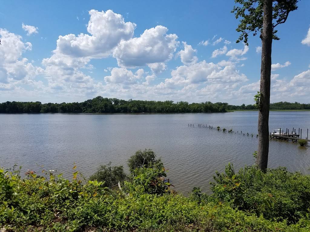 Upper Shirley Vineyards | restaurant | 600 Shirley Plantation Rd, Charles City, VA 23030, USA | 8048299463 OR +1 804-829-9463