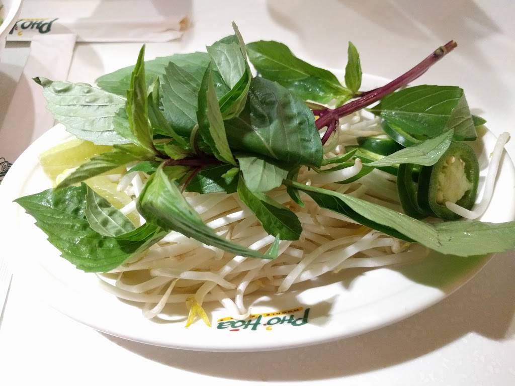 Pho Hoa | restaurant | 220 Castro St, Mountain View, CA 94041, USA | 6509695805 OR +1 650-969-5805