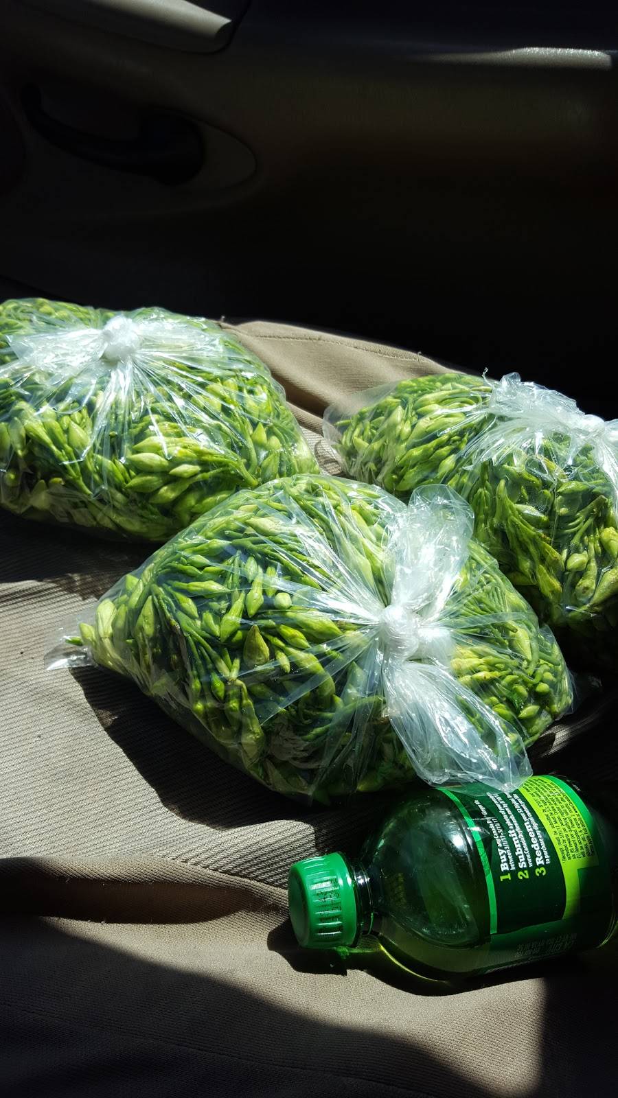 Vidal Produce Wholesale | meal takeaway | 2401 E 27th St, Vernon, CA 90058, USA | 3235871072 OR +1 323-587-1072