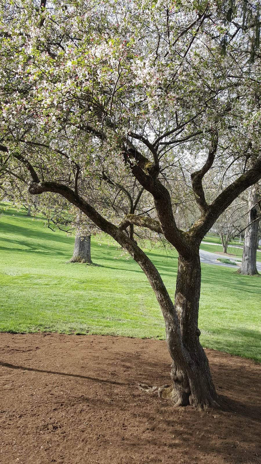 Prime 44 West | restaurant | 300 W Main St, White Sulphur Springs, WV 24986, USA | 8004534858 OR +1 800-453-4858