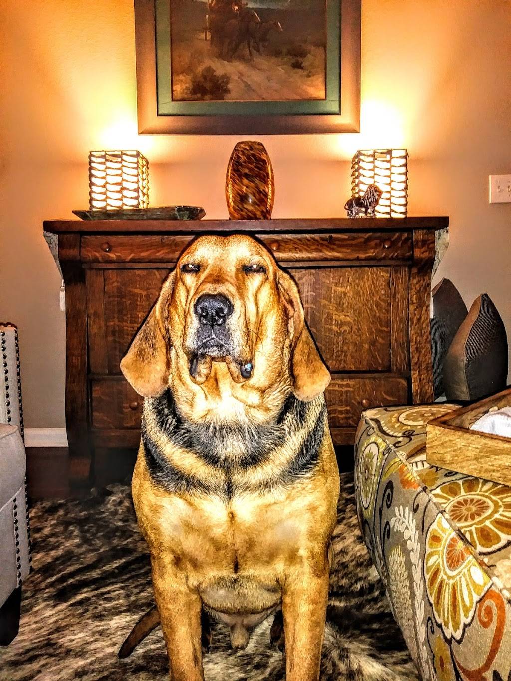 Los Vega | restaurant | 315 W San Antonio St, San Marcos, TX 78666, USA | 5123928484 OR +1 512-392-8484