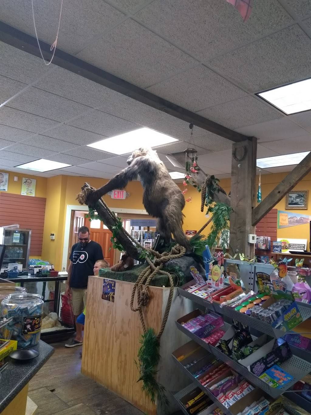 Perrys Nut House | meal takeaway | 45 Searsport Ave, Belfast, ME 04915, USA | 2073381630 OR +1 207-338-1630