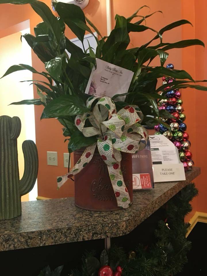 El Palenque Mexican Restaurant | restaurant | 269 Main St, Duncan Falls, OH 43734, USA | 7403033334 OR +1 740-303-3334