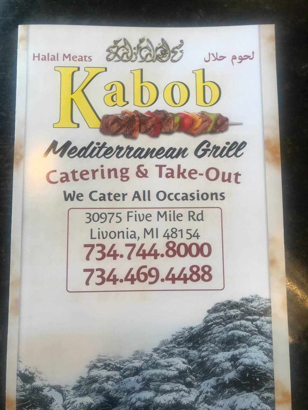 Kabob Mediterranean Grill | restaurant | 30975 Five Mile Rd, Livonia, MI 48154, USA | 7347448001 OR +1 734-744-8001