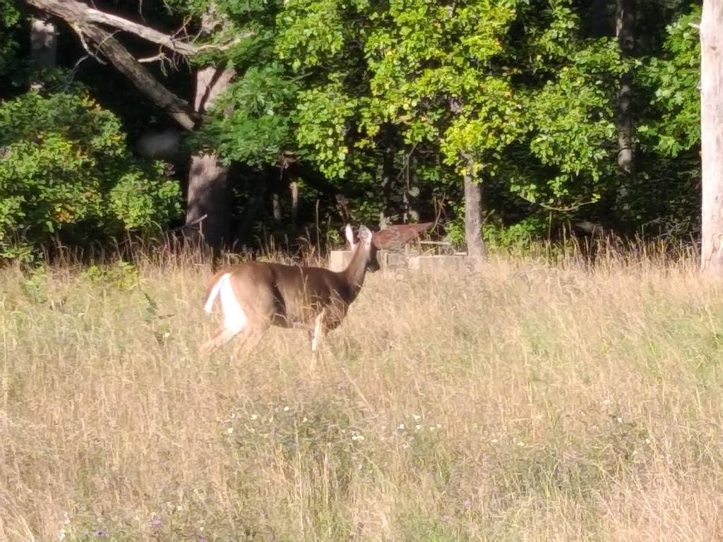 Western Avenue Grill | restaurant | 6410 W Western Ave, Glen Arbor, MI 49636, USA | 2313343362 OR +1 231-334-3362