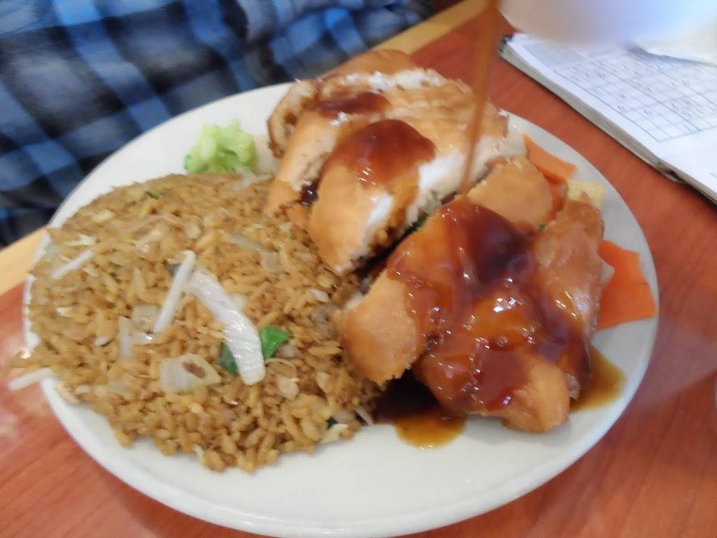 China Star | restaurant | 3869 Fort St, Wyandotte, MI 48192, USA | 7342816330 OR +1 734-281-6330