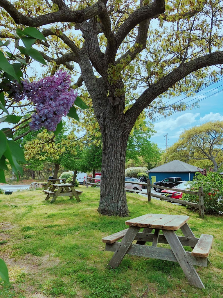 Cosmos To Go | restaurant | 43 Race Point Rd, Provincetown, MA 02657, USA | 5084879008 OR +1 508-487-9008