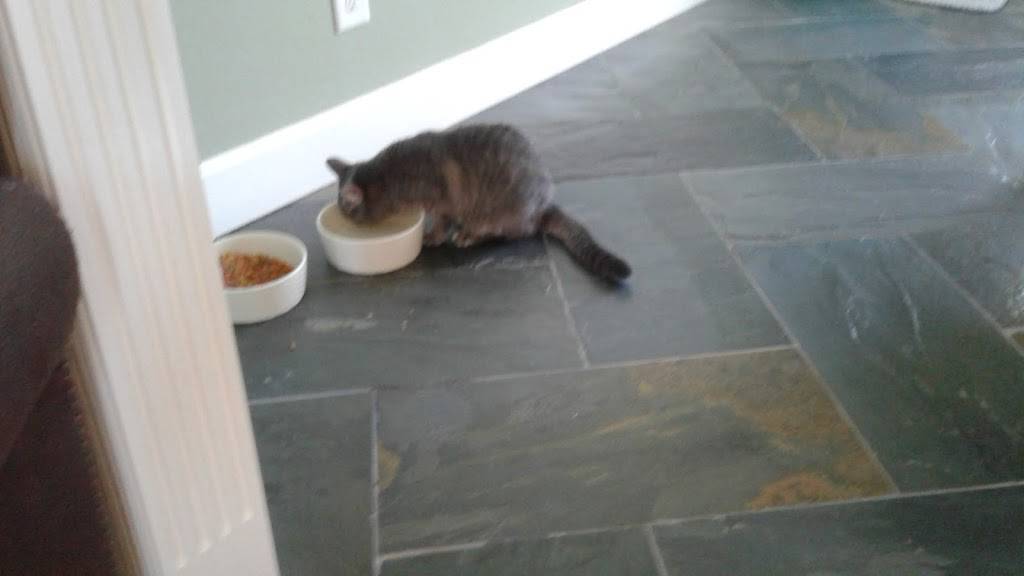 Papa Johns Pizza | restaurant | 5330 Dixie Hwy, Fairfield, OH 45014, USA | 5138587272 OR +1 513-858-7272