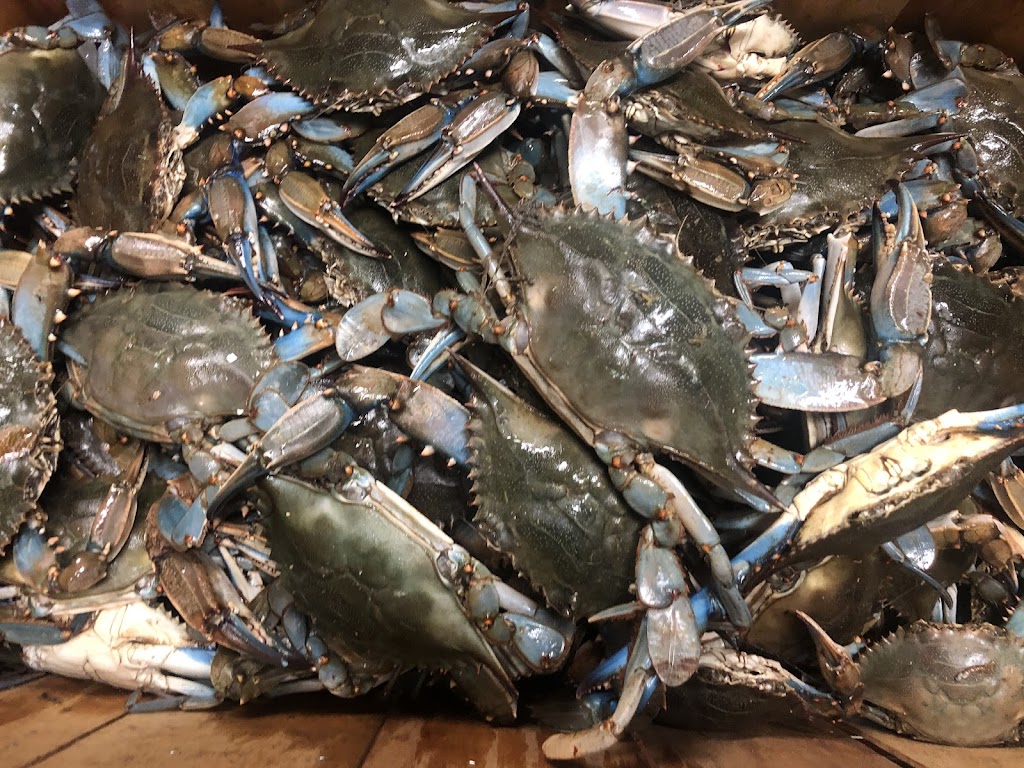 New York Seafood Market & Restaurant | restaurant | 2801 34th St S, St. Petersburg, FL 33711, USA | 7278676666 OR +1 727-867-6666