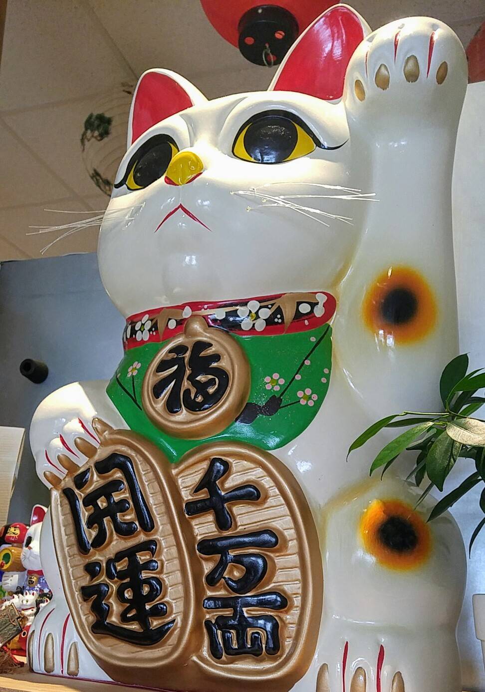 Komachi Japanese Restaurant | restaurant | 15440 Bayview Ave, Aurora, ON L4G 7J1, Canada | 9058413841 OR +1 905-841-3841